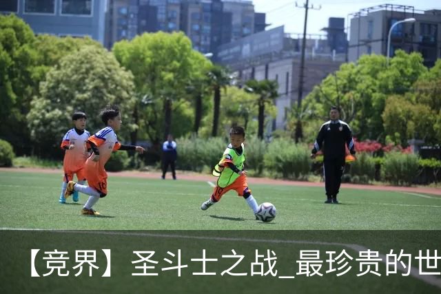 【竞界】圣斗士之战 最珍贵的世界杯藏品