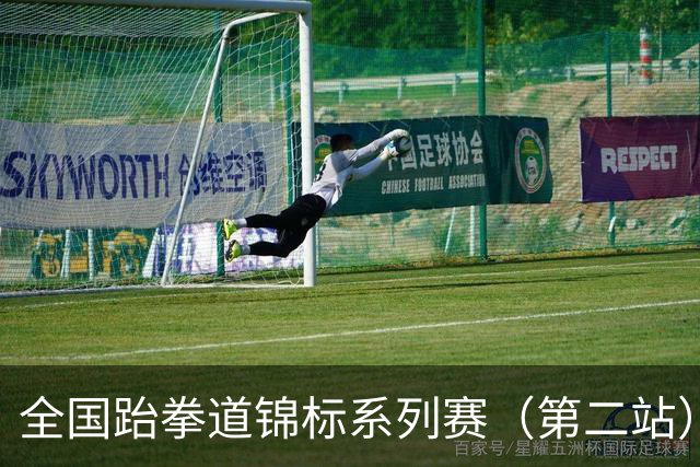 全国跆拳道锦标系列赛（第二站）第三日 冀晋浙苏各得一金